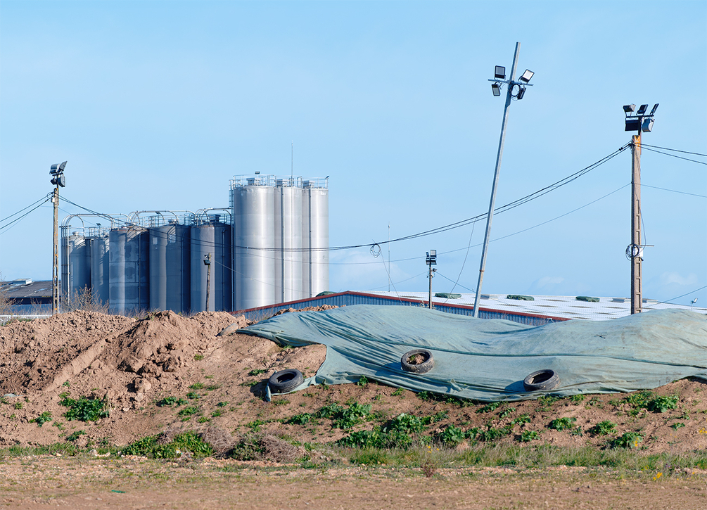 Altered landscape.jpg