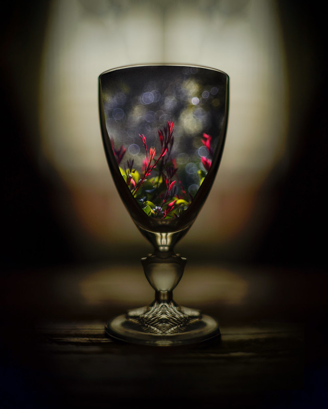 Coupe printanière.jpg