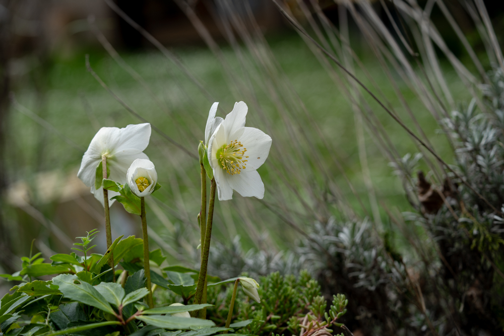 DSC08348-Modifier Forum.jpg