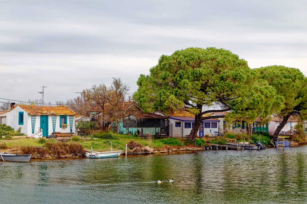 DSC_1615_DxO - Copie.jpg