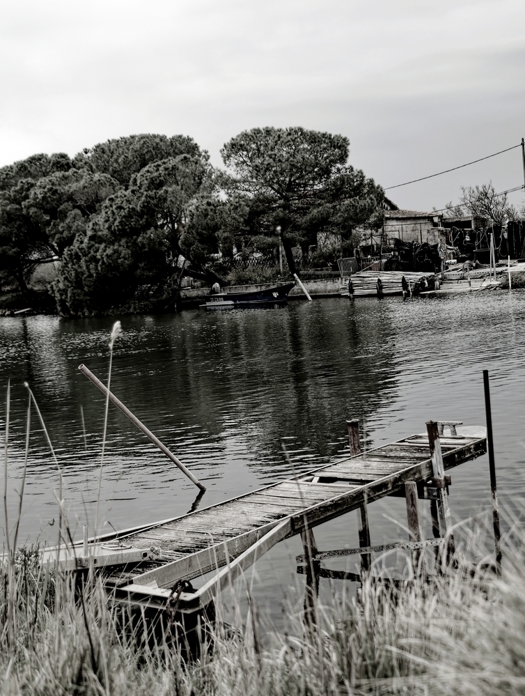 DSC_1621_DxO - Copie.jpg