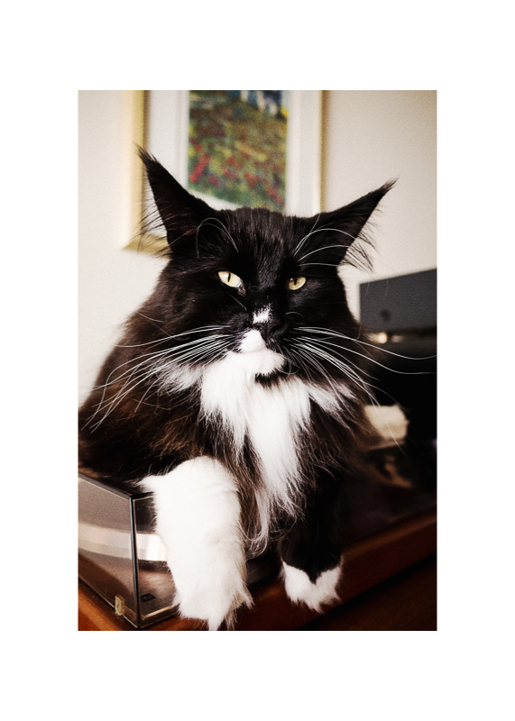 James le 06 avril 2025 C.jpg