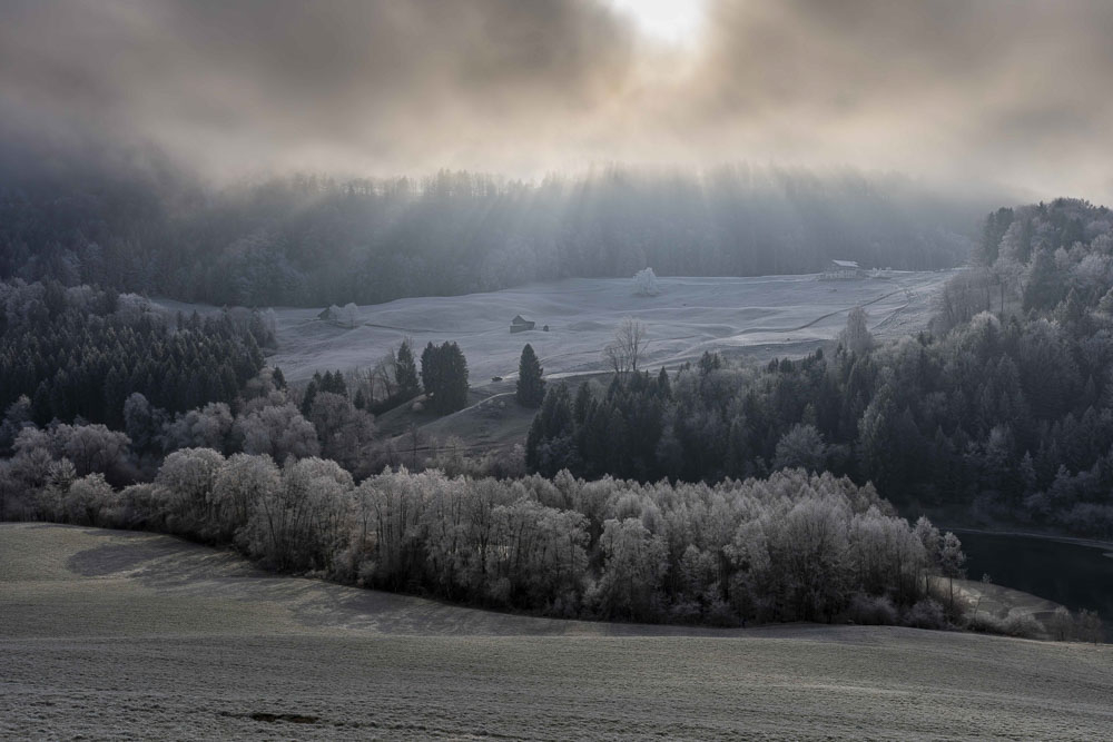 Matin hervernal Charmey.jpg