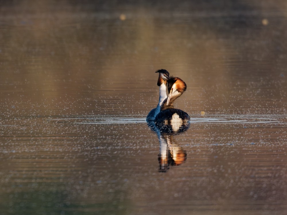 P3030065_PAT (Personnalisé).jpg