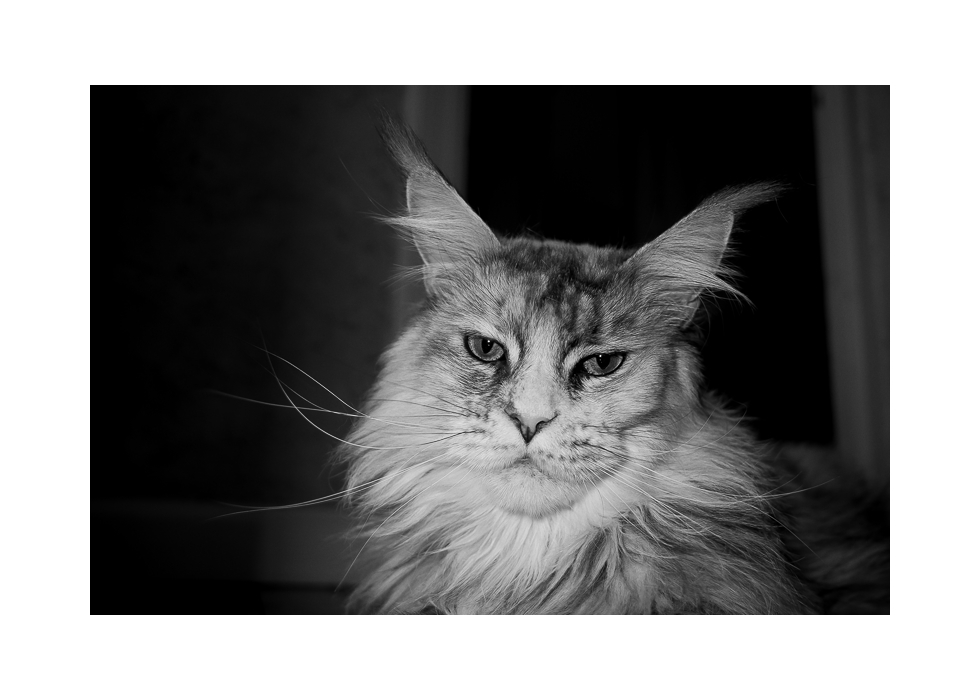 Tana le 13 janvier 2026 C.jpg