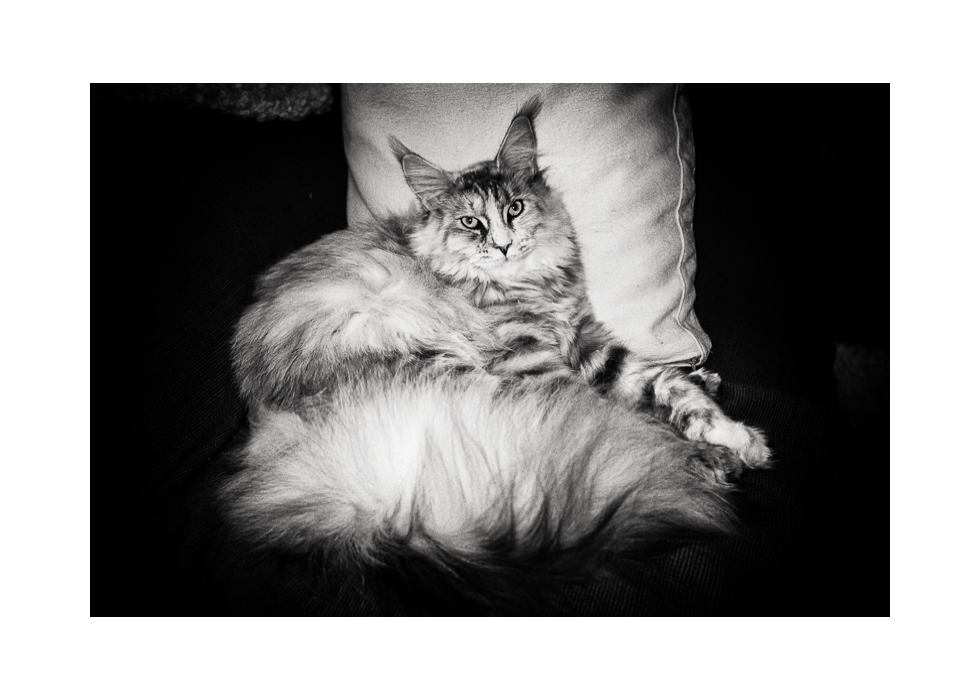 Tana le 25 février 2024 C.jpg