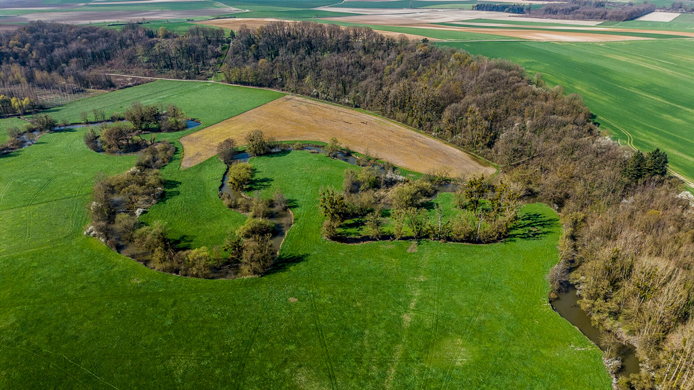 Viree side 20 mars 26-17_01.jpg