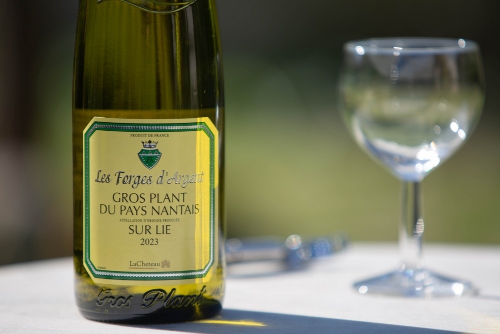 207A5200 gros plan (1 sur 1).jpg