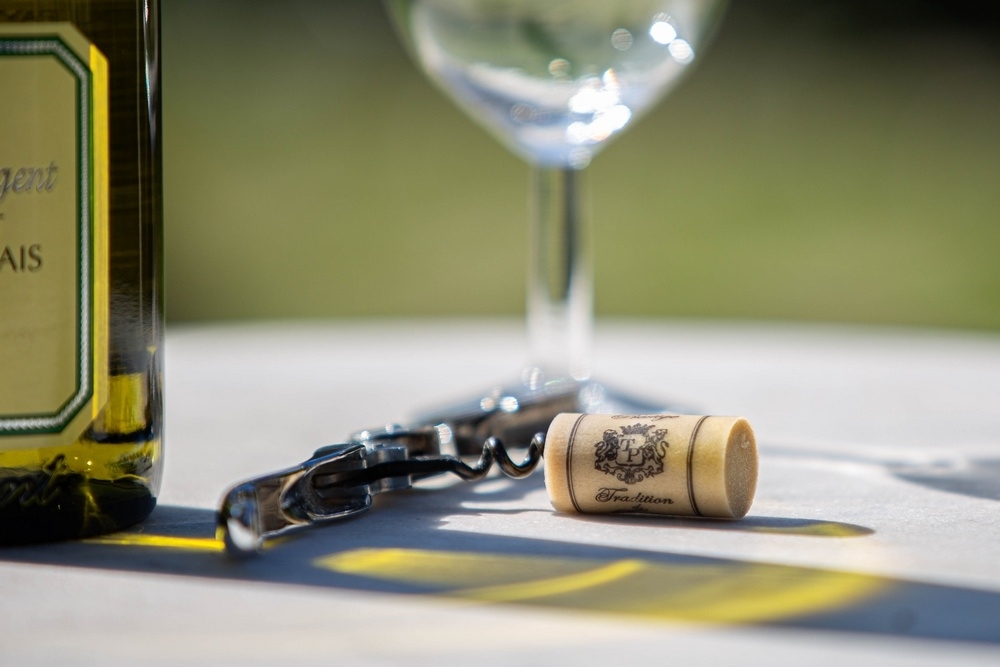 207A5201 gros plan (1 sur 1).jpg