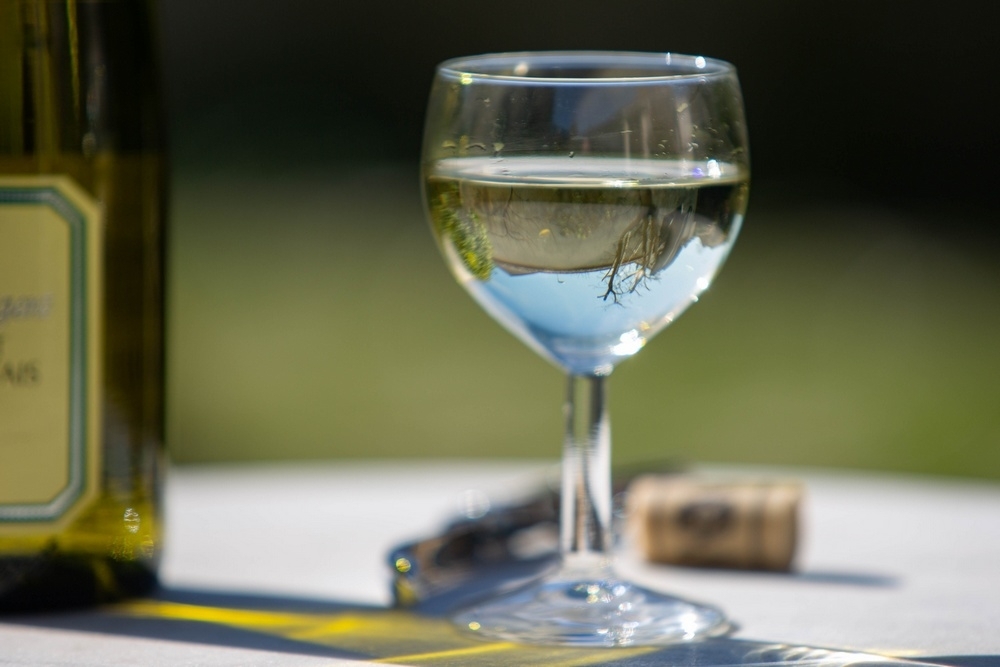 207A5204 gros plan (1 sur 1).jpg