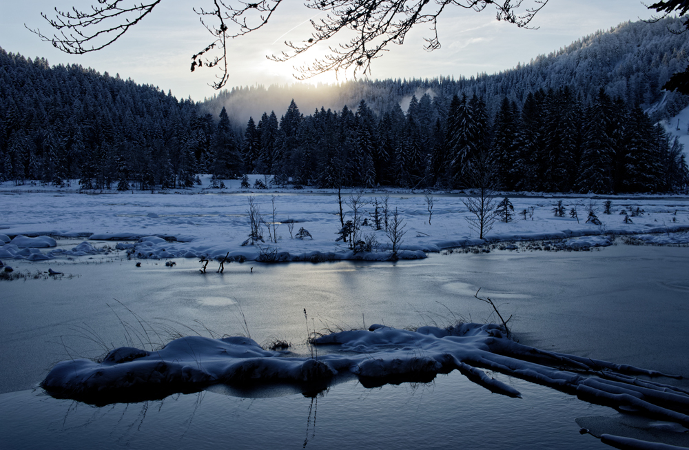 lispach hiver (11).jpg