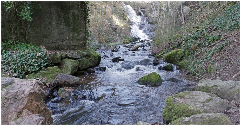 04 mars 2026 F 01 Gorges de Narvau (11).jpg