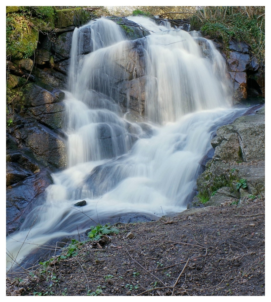 04 mars 2026 F 01 Gorges de Narvau (5).jpg