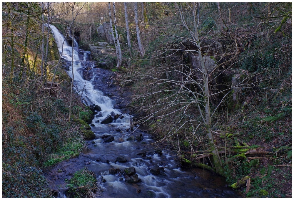 04 mars 2026 F 01 Gorges de Narvau (8)1.jpg