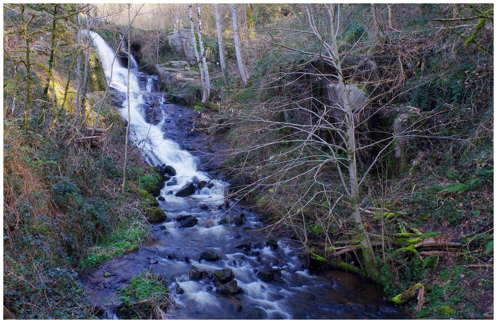 04 mars 2026 F 01 Gorges de Narvau (8)pt.jpg