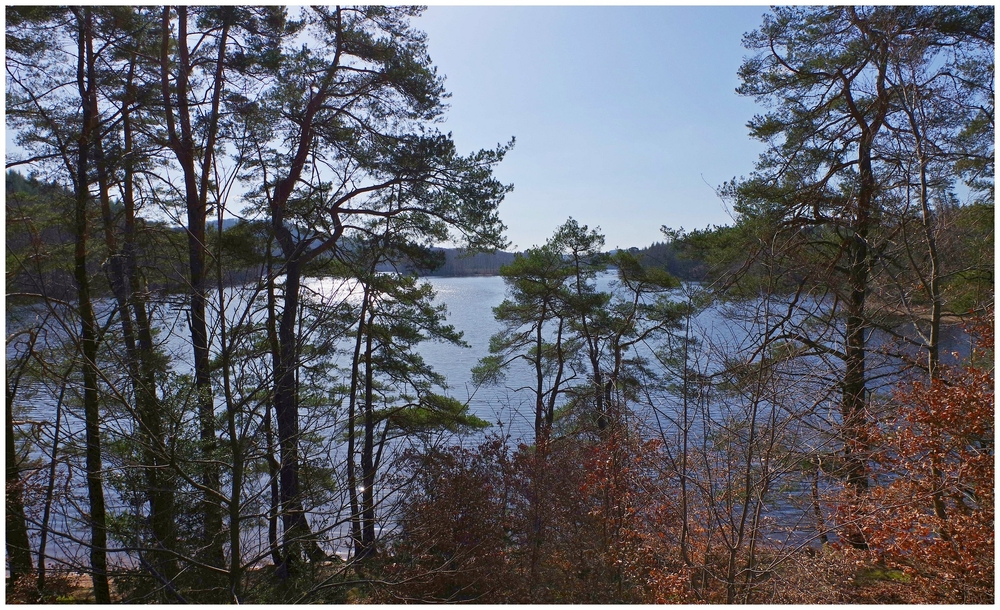 04 mars 2026 F 02 Lac de Chaumeçon (1).jpg