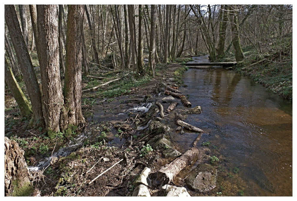 04 mars 2026 F 03 Chalaux (4).jpg