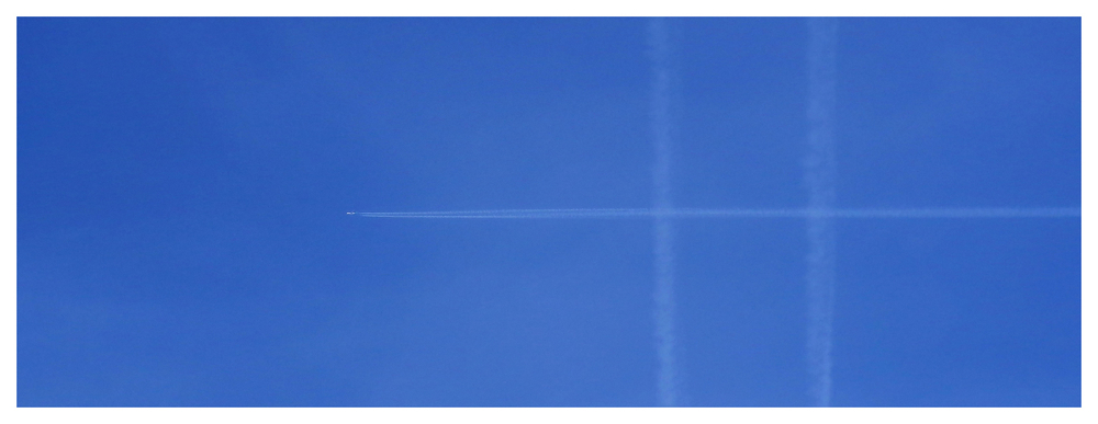 17 03 26 fleurs (7).jpg