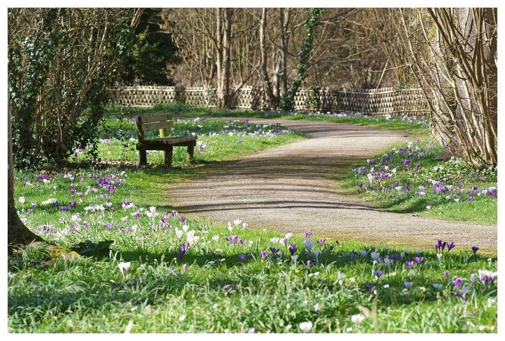 25 02 26  (24)parc tan.jpg