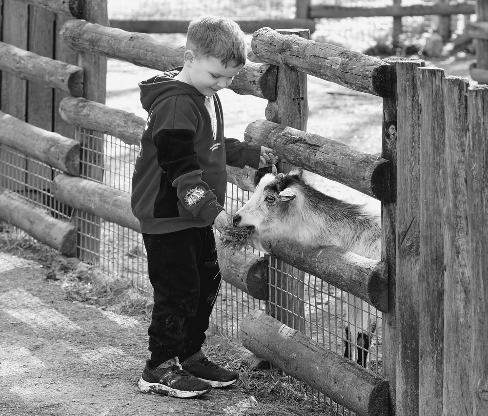 25 02 26  (36).zoo.jpg