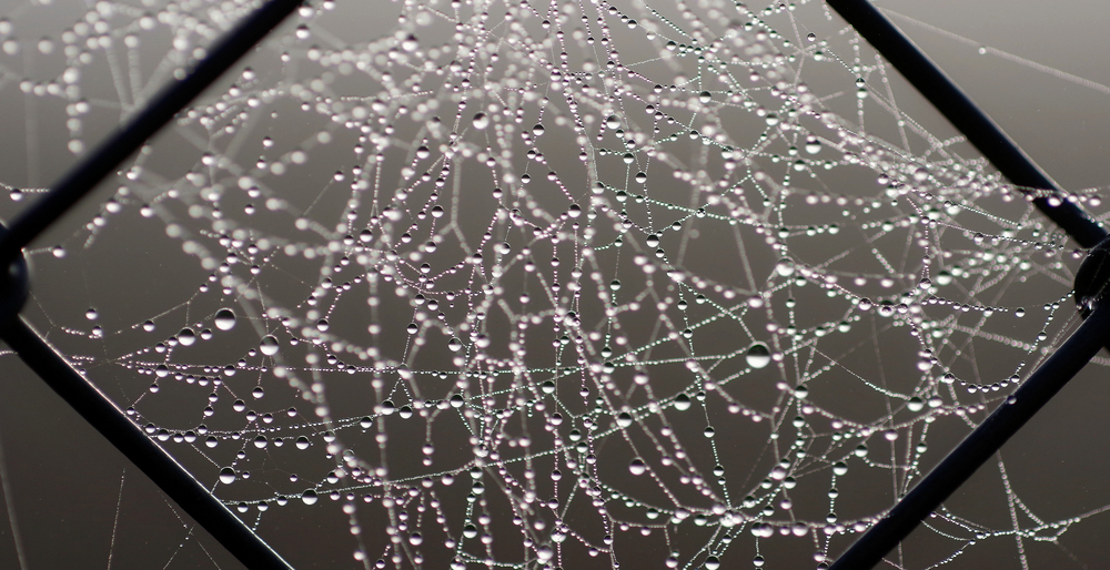 25 02 26 GOUTTES ET TOILES (1).jpg