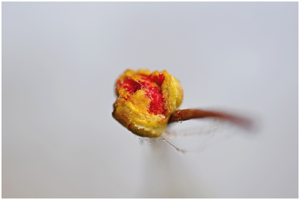 25 02 26 GOUTTES ET TOILES (3).jpg