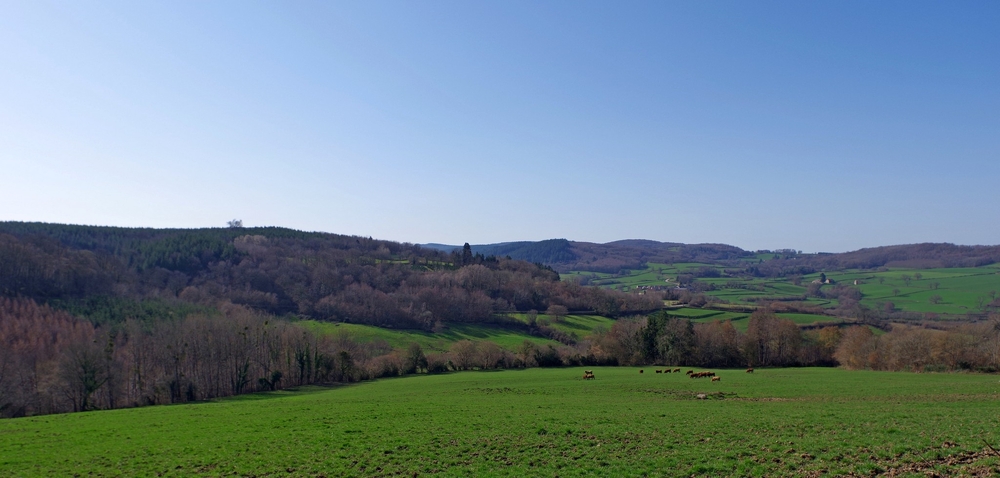 27 02 26 PARC A DAIMS (23).jpg