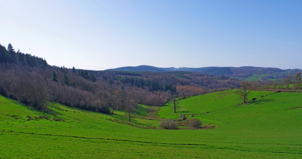 27 02 26 PARC A DAIMS (26).jpg