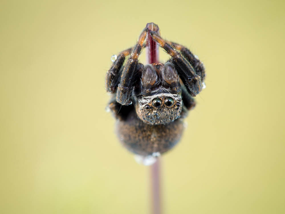 048- E-M5 -28 mai 20164608 x 3456.jpg