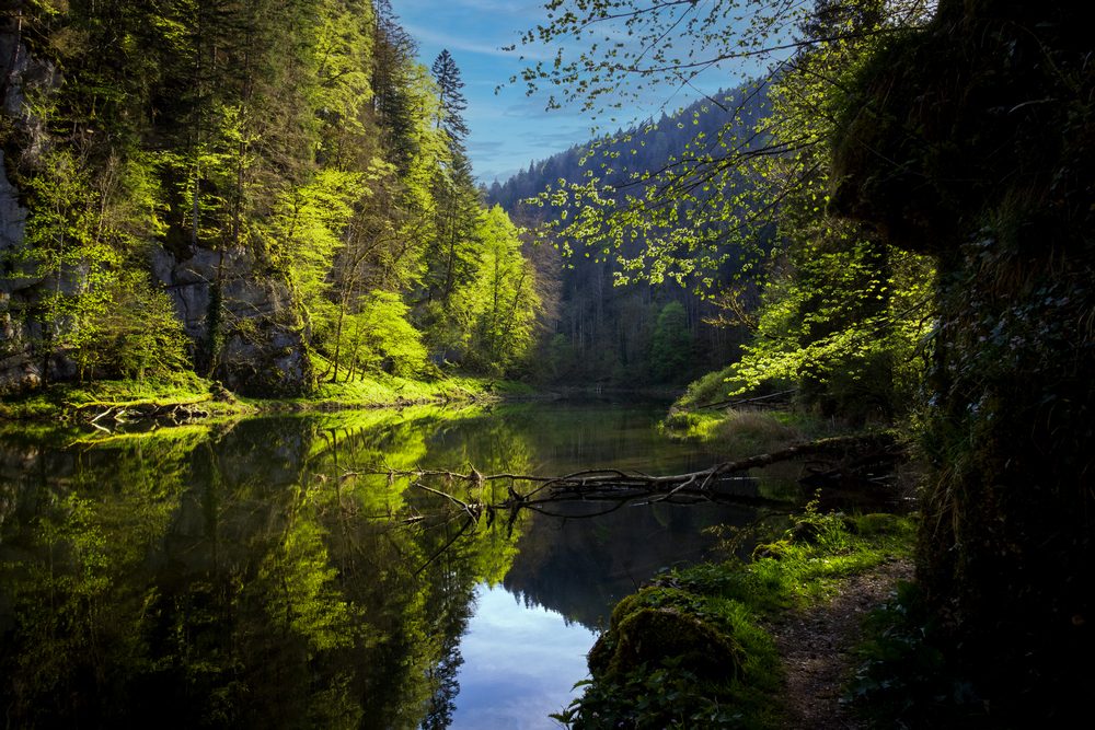 0S6A1953_PS_B_small F2P.jpg