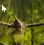 2026-04-13 20_17_00-.jpg