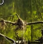 2026-04-13 20_19_36-Original.jpg