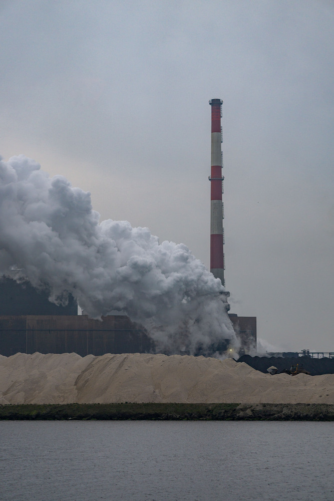 2026 Quai cockeril 1.jpg