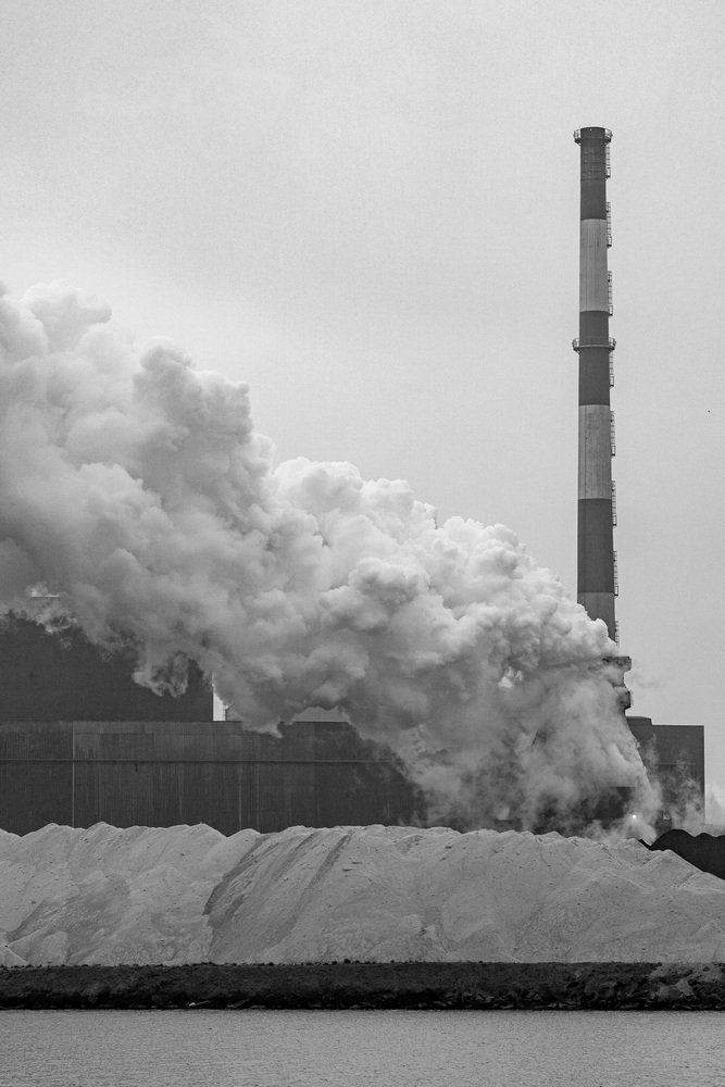 2026 Quai cockeril 1 NB.jpg