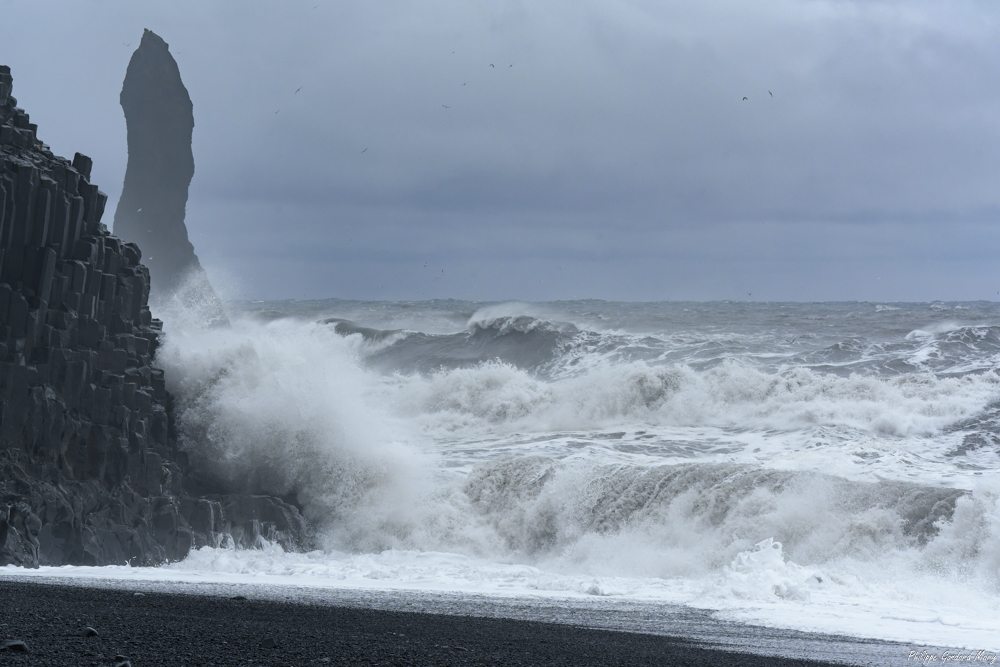 2026_04_02_018_Reynishverfi.jpg
