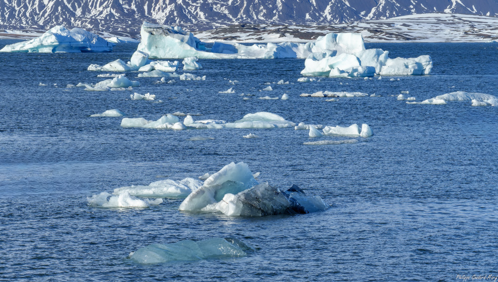 2026_04_03_120_Jokulsarlon.jpg
