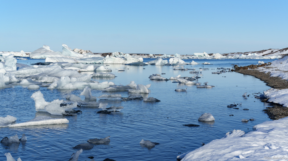2026_04_03_134_Jokulsarlon.jpg