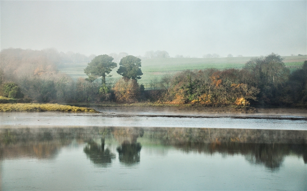 206 (1000 x 625).jpg