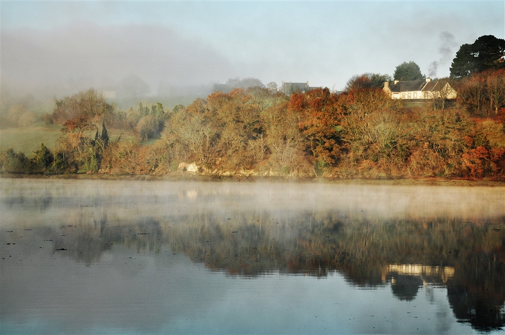 208 (1000 x 664).jpg