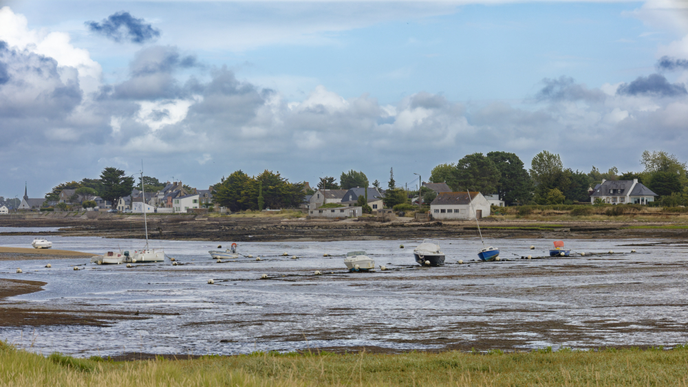 23- Damgan - 20-07-2025 - Le Pénerf (15).jpg