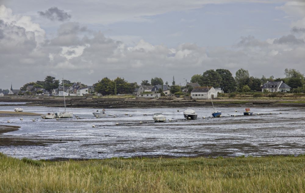 23- Damgan - 20-07-2025 - Le Pénerf (15)modif1redim.jpg