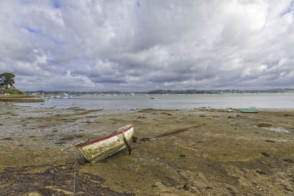 24- Ile aux moines - 21-07-2025 (5)modif2redim.jpg