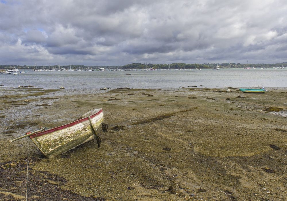 24- Ile aux moines - 21-07-2025 (5)modif3redim.jpg