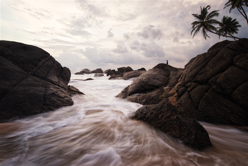 326 (1000 x 668).jpg