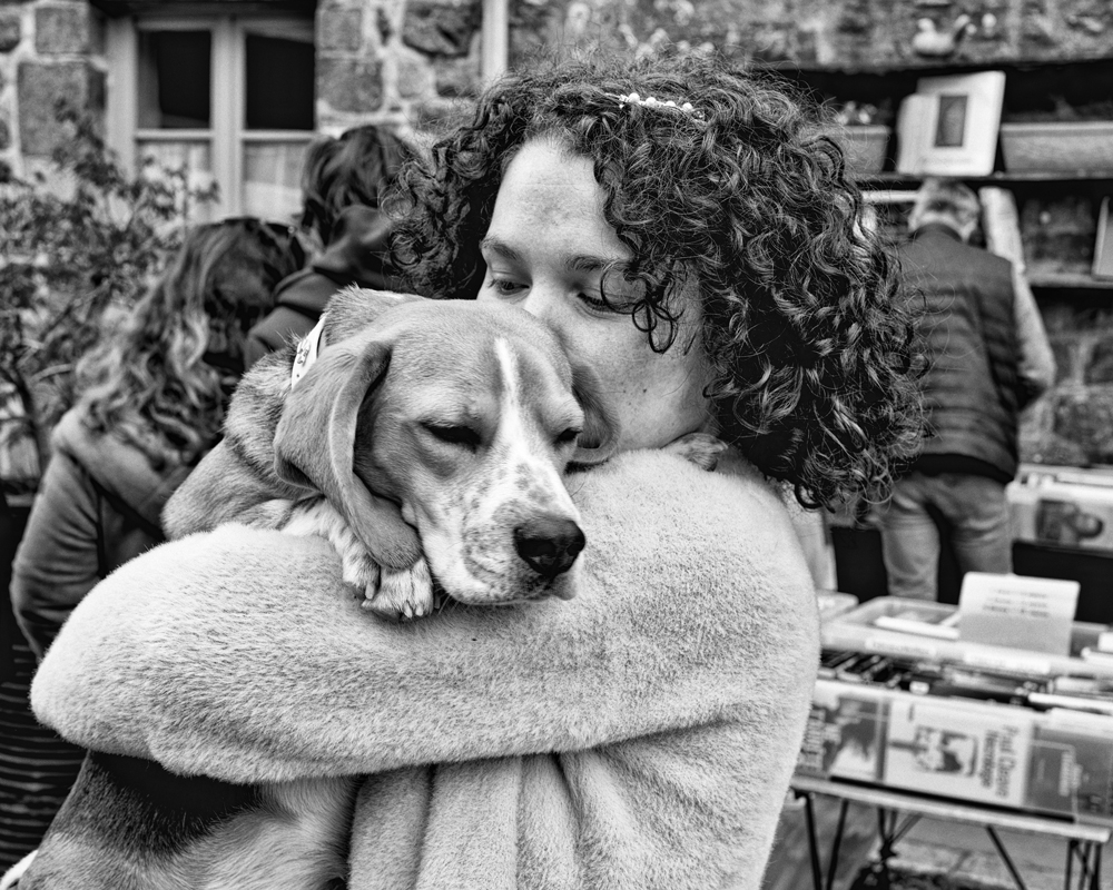 Amour-de-chien-FP_L1001832.jpg