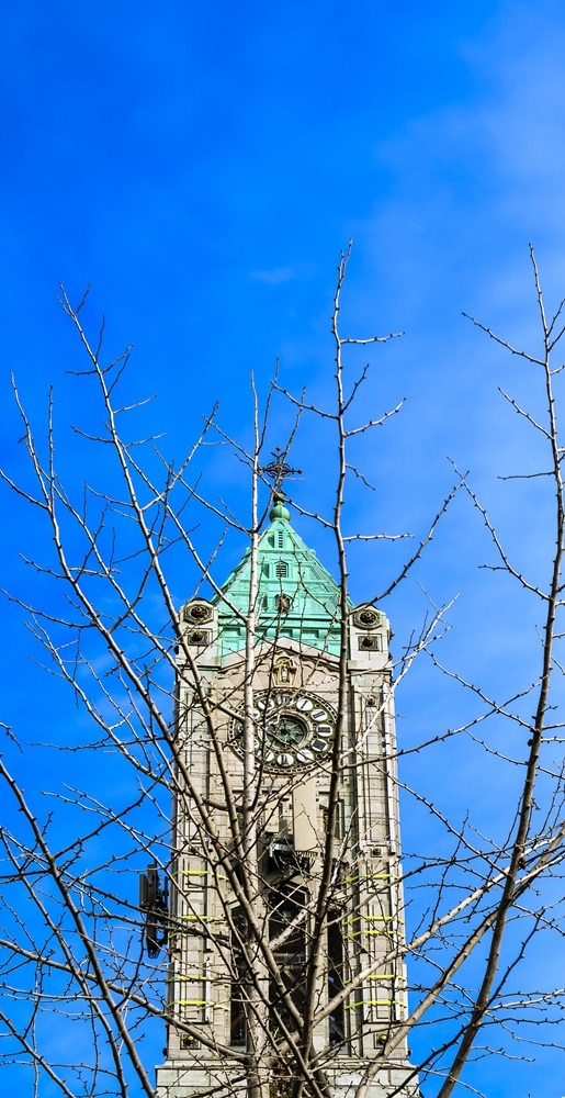 DSC_0460.jpg