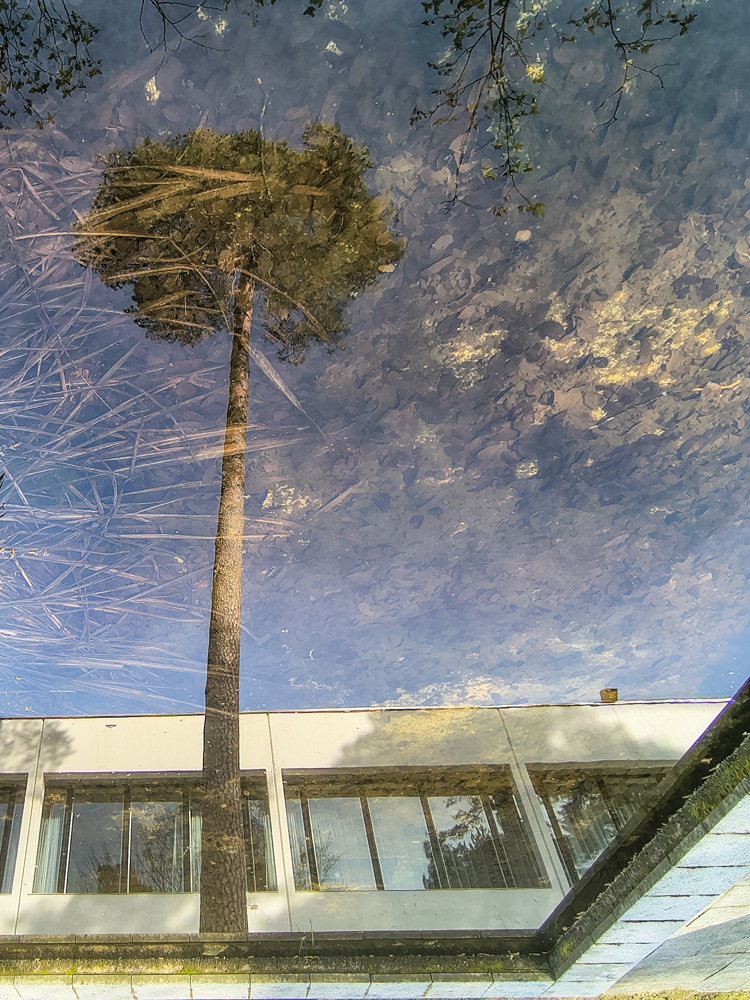 IMG_20260409_095448439_HDR_1-S_1000.jpg