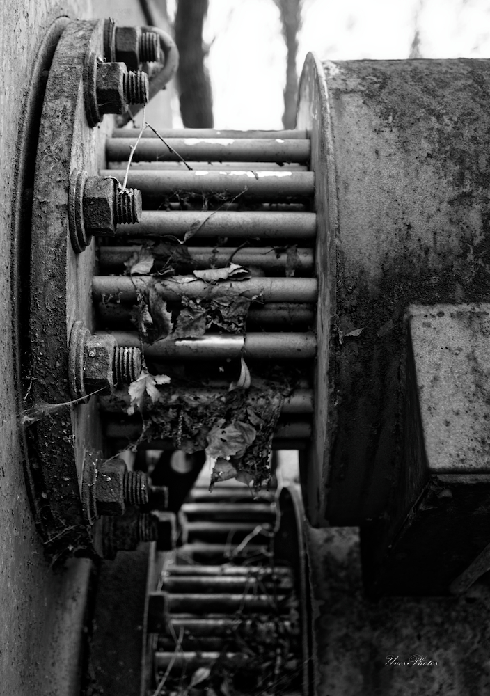 IMG_3994_DxO-def-forum_01.jpg