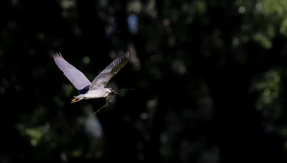 _A3A9565_DxO.jpg