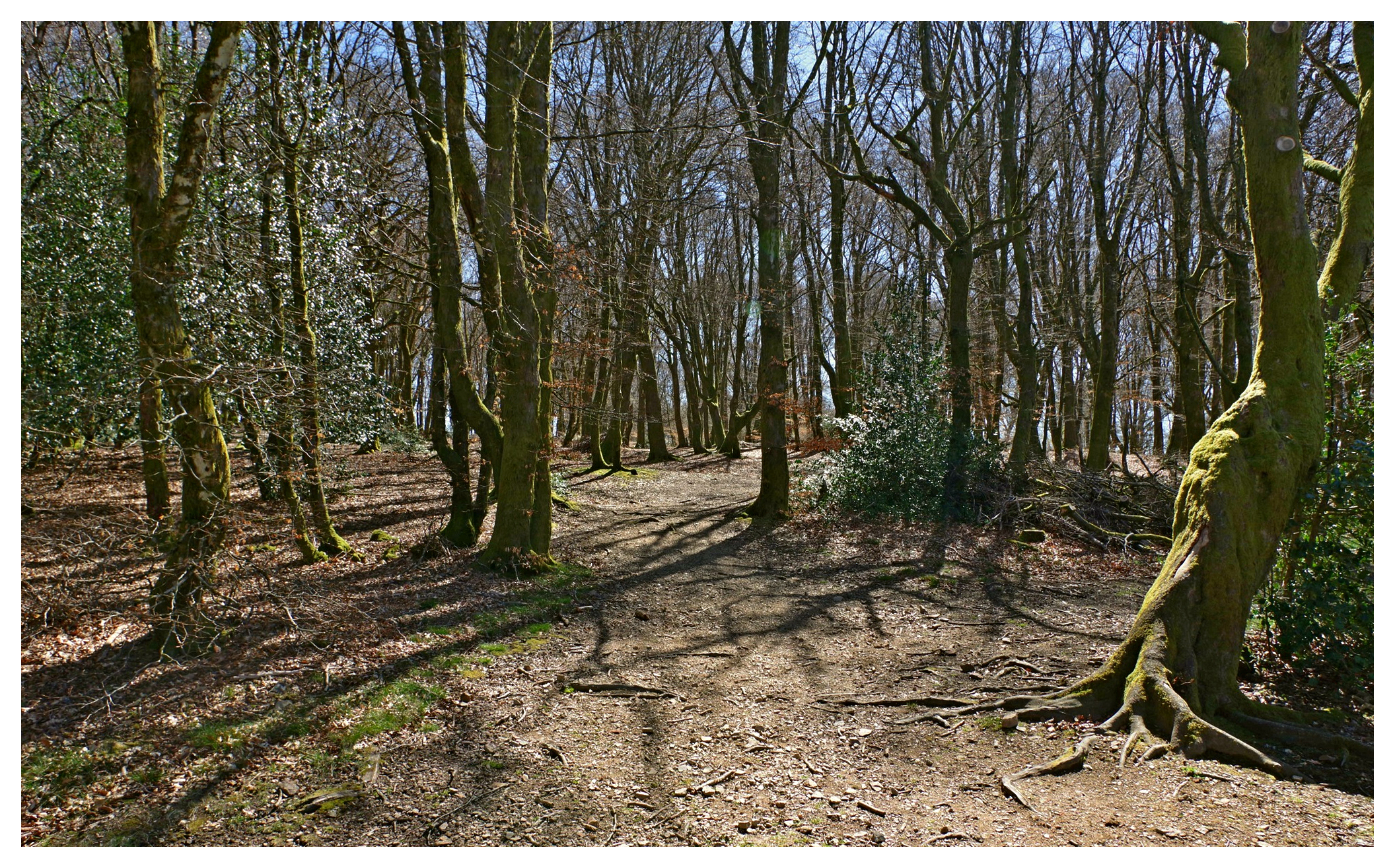 large.07AVRIL2026MORVAN(31).jpg